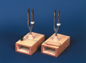 Kamertony rezonujące