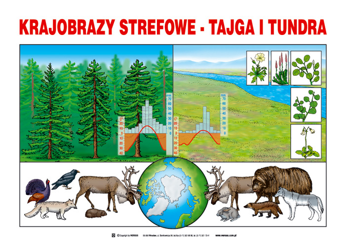 Tablice graficzne do Liceum - Geografia - 26 tablic