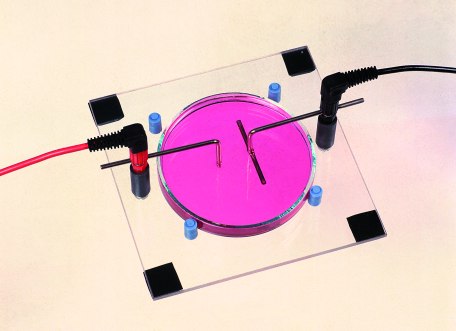 Zestaw do demonstracji linii sił pola elektrostatycznego